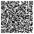 QR code with Motech contacts