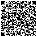 QR code with Pubport Com Inc contacts