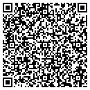 QR code with Bisassist Inc contacts