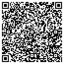 QR code with Precious Gems contacts