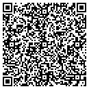 QR code with Pub In The Park contacts