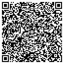 QR code with Pyramid Painting contacts