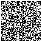 QR code with Blue Water Auto Sales contacts