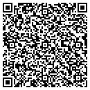 QR code with Pulselink Inc contacts