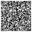 QR code with PS Systems contacts