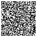 QR code with Mesa contacts