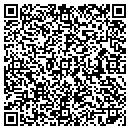 QR code with Project Assurance Inc contacts
