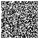 QR code with Blue Water Services contacts