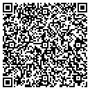 QR code with Carpet Star of Texas contacts