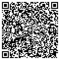 QR code with Pines contacts