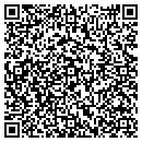 QR code with Problastexas contacts