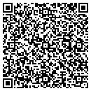 QR code with Pristine Limousines contacts