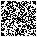 QR code with City Wide Power Wash contacts
