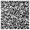 QR code with Cynergy Systems Inc contacts