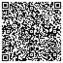 QR code with Premium Pool Service contacts