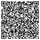 QR code with Production Analyst contacts