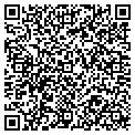 QR code with Pipeco contacts