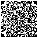 QR code with Carters Partnership contacts