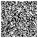 QR code with Carrolls Jewelry Inc contacts