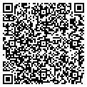QR code with Designer contacts