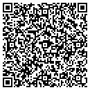 QR code with Chapek Consulting contacts