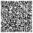 QR code with Productive Solutions contacts
