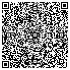 QR code with Public Image Hair Design contacts