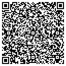 QR code with Pyrotechnics By Lamb contacts