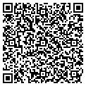 QR code with Magaco contacts