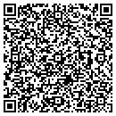 QR code with Pserv Global contacts