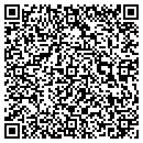 QR code with Premier Data Systems contacts