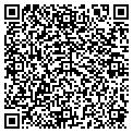 QR code with Pacha contacts