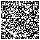 QR code with Professional Academy contacts