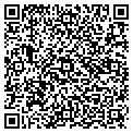 QR code with Anchor contacts