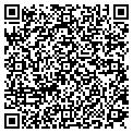 QR code with Vactorr contacts