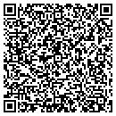 QR code with Pulse Computers contacts