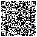 QR code with Bisatel contacts