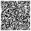 QR code with Precision Painting contacts