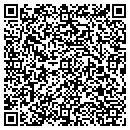 QR code with Premier Incentives contacts
