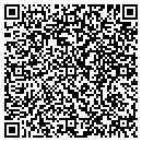 QR code with C & S Art Works contacts