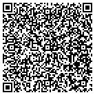 QR code with Pulse Eft Association contacts