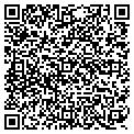 QR code with D Lake contacts