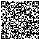 QR code with Precision Artwork contacts