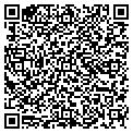 QR code with Digita contacts