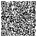 QR code with Condor contacts
