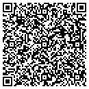 QR code with Texas Liners contacts