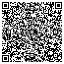 QR code with Chameleon Services contacts