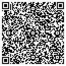 QR code with Blue Island Spas contacts