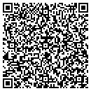 QR code with Custom Pools contacts