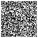 QR code with Prine's Auto Salvage contacts